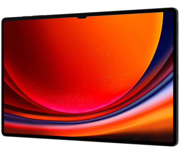 Samsung Galaxy Tab S9 Ultra 14,6" 12/256GB, WiFi, S Pen, szary - 1158901 - zdjęcie 4